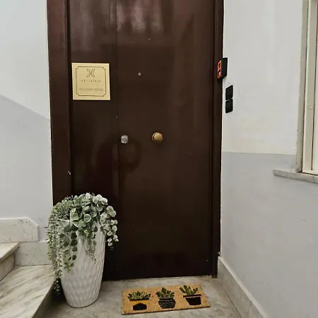 Vittoria 2*